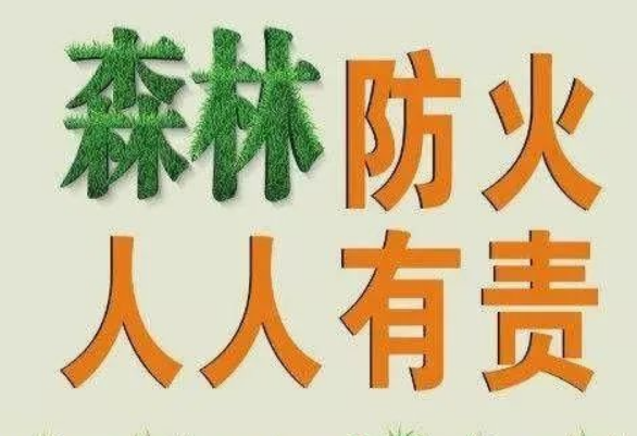 沈北新区应急局开展森林防火应急反应能力测试
